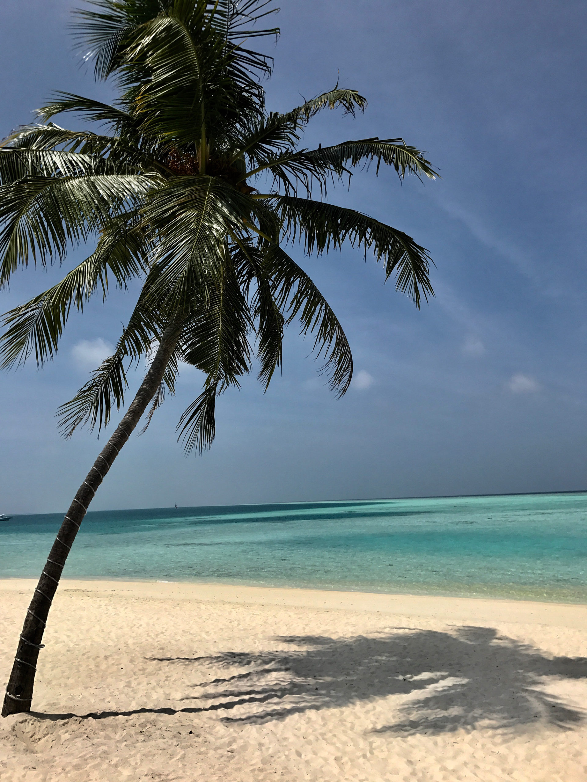 image for Indian Ocean