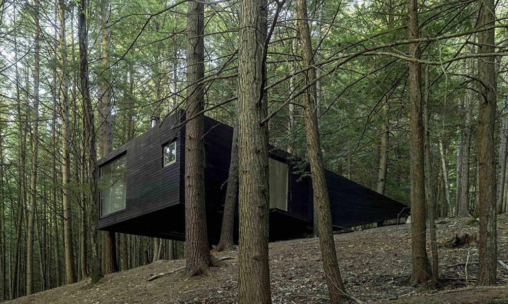 image for Modern Tree House