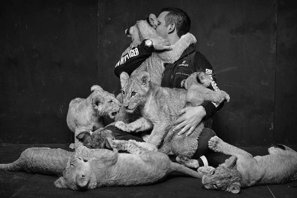 Black Jaguar-White Tiger