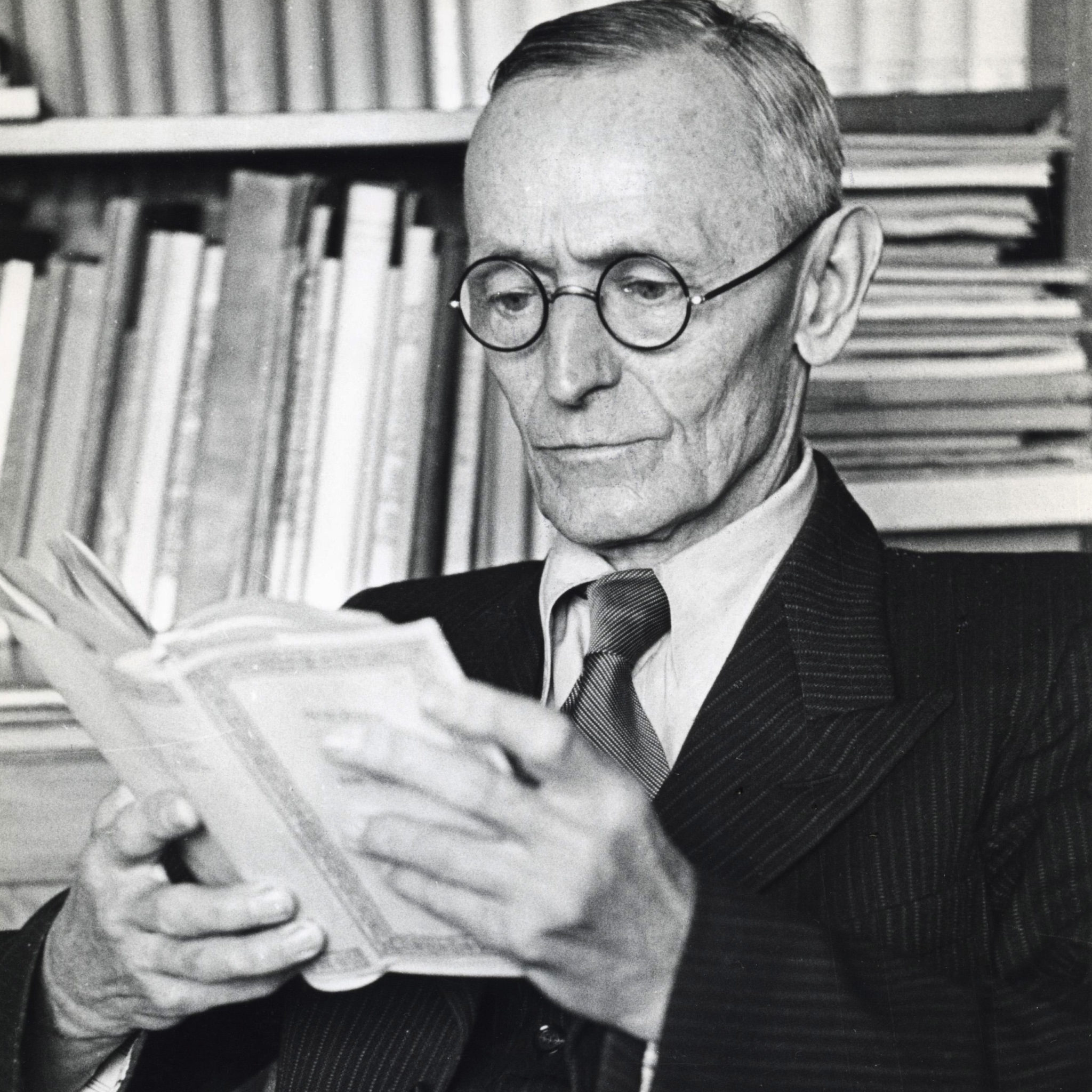 image for Hermann Hesse, I Knew Nothing