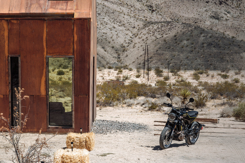 image for Under the Stars and into the Wild