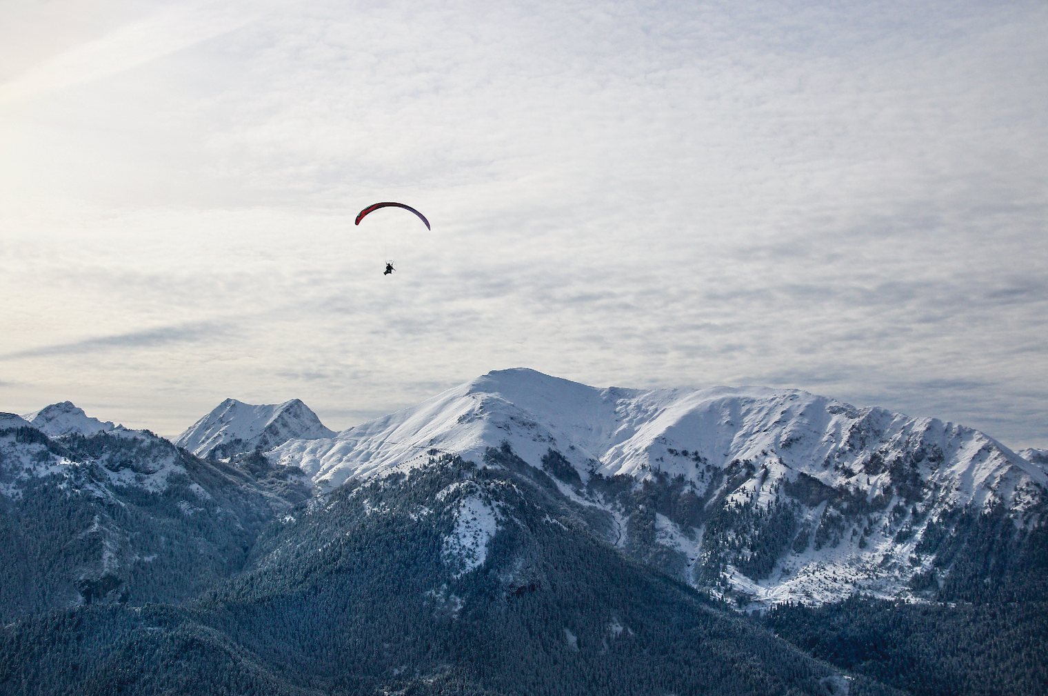 image for Flying is an Attitude