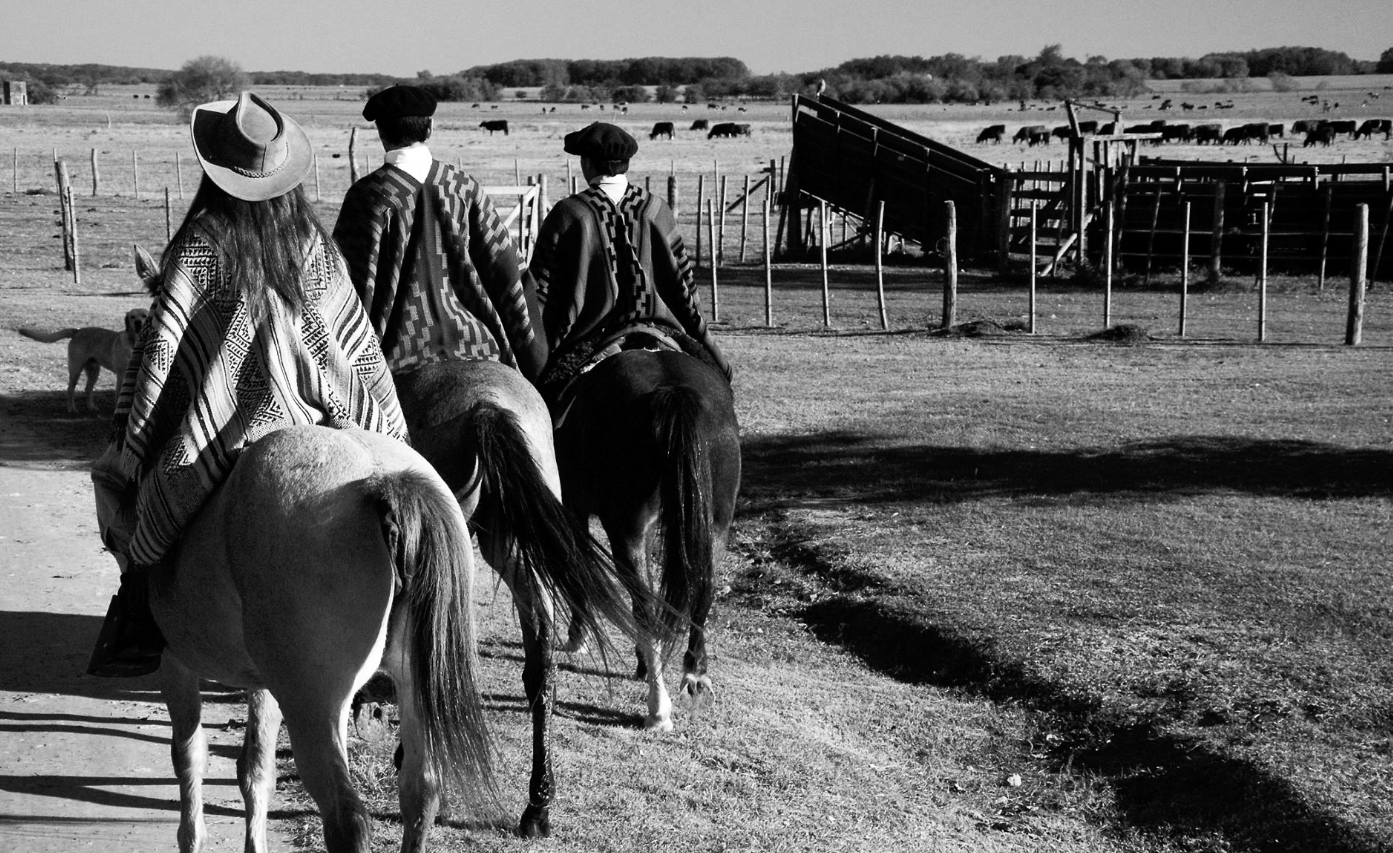image for Colonial Couture