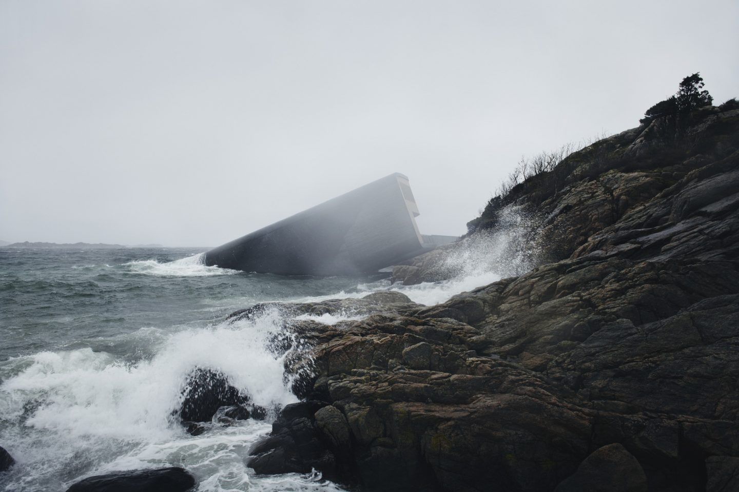 image for Under the ocean waves