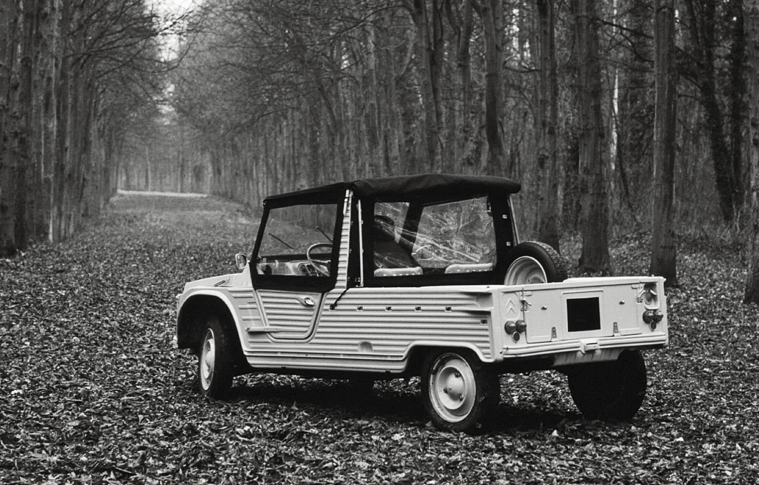 image for The Coolest Vehicle