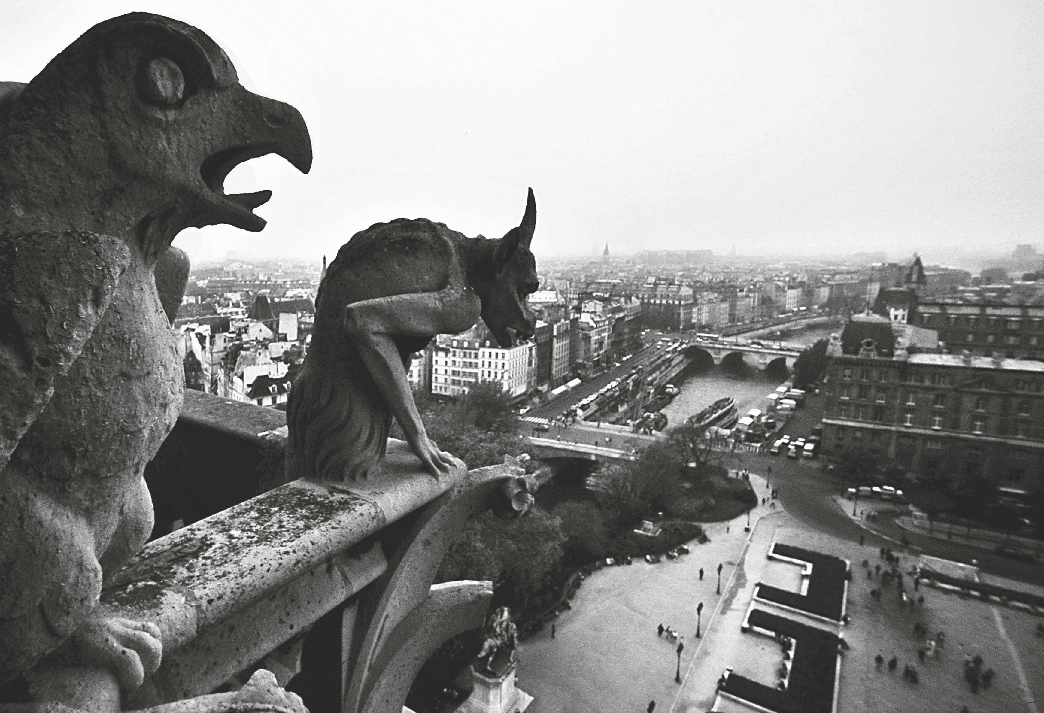 image for NOTRE-DAME DE PARIS