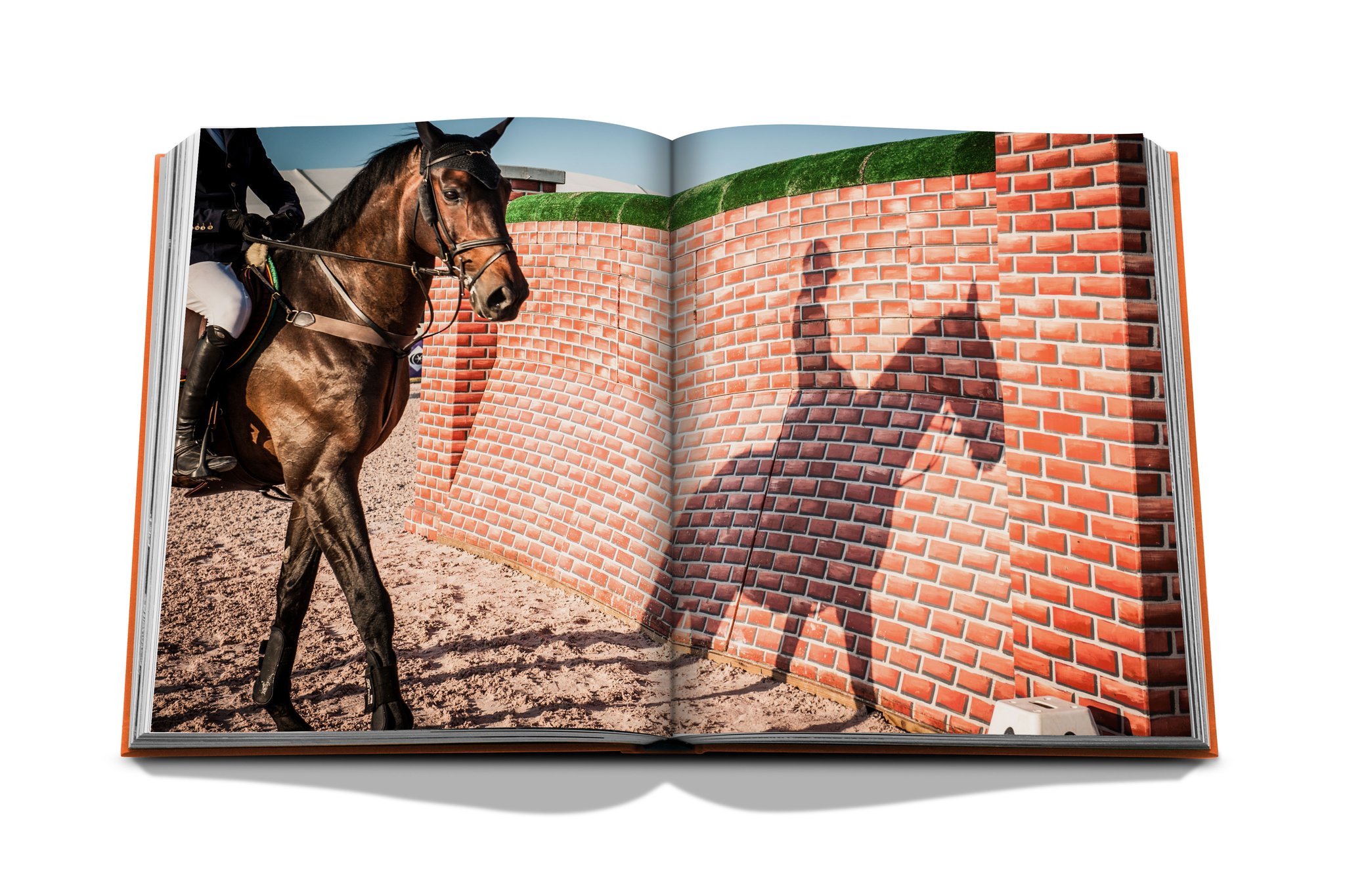 image for Wellington | The World of Horses