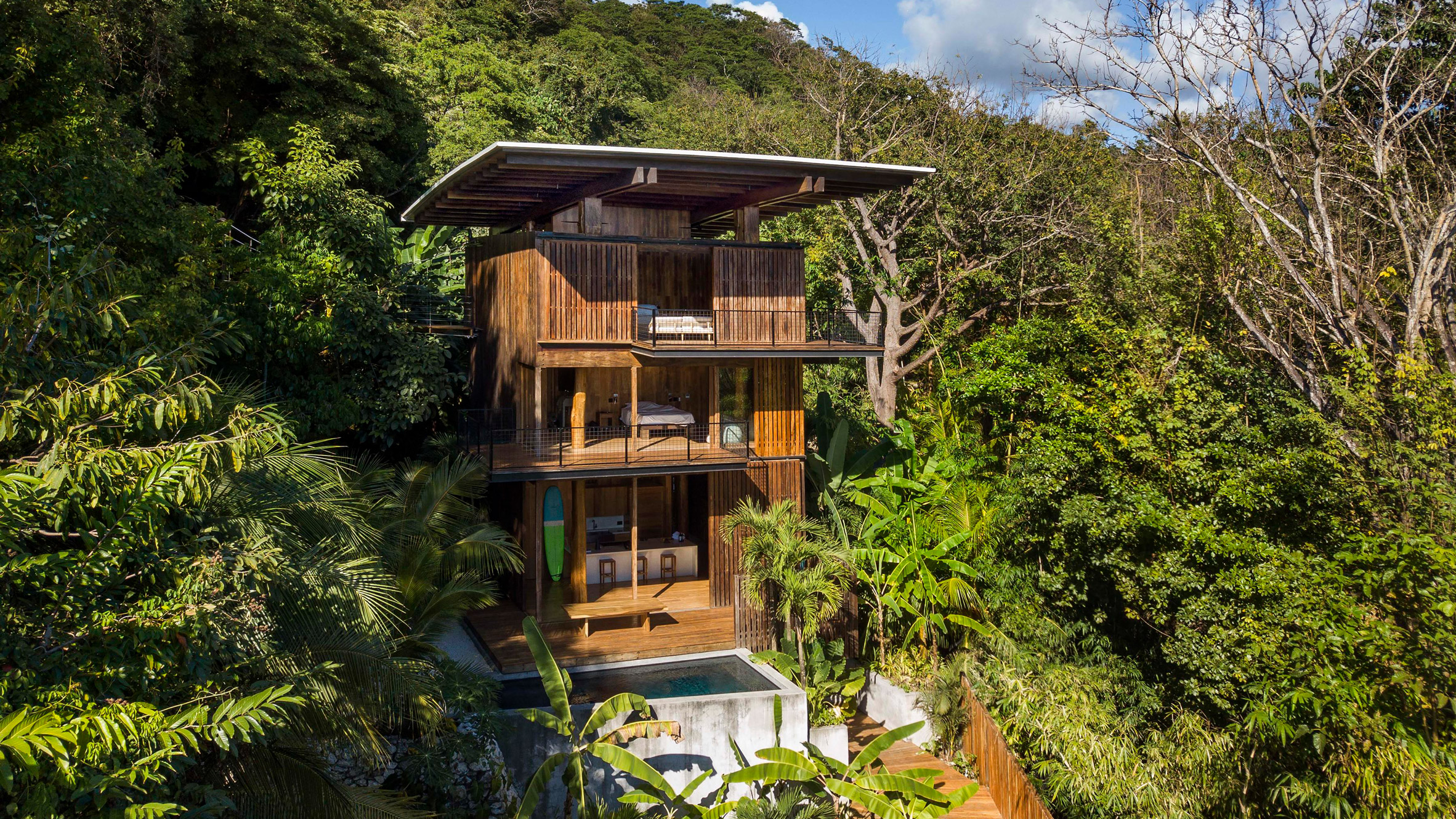 image for In the jungle and by the pacific