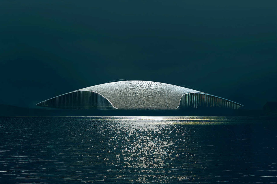 image for An Arctic Attraction on Andøya