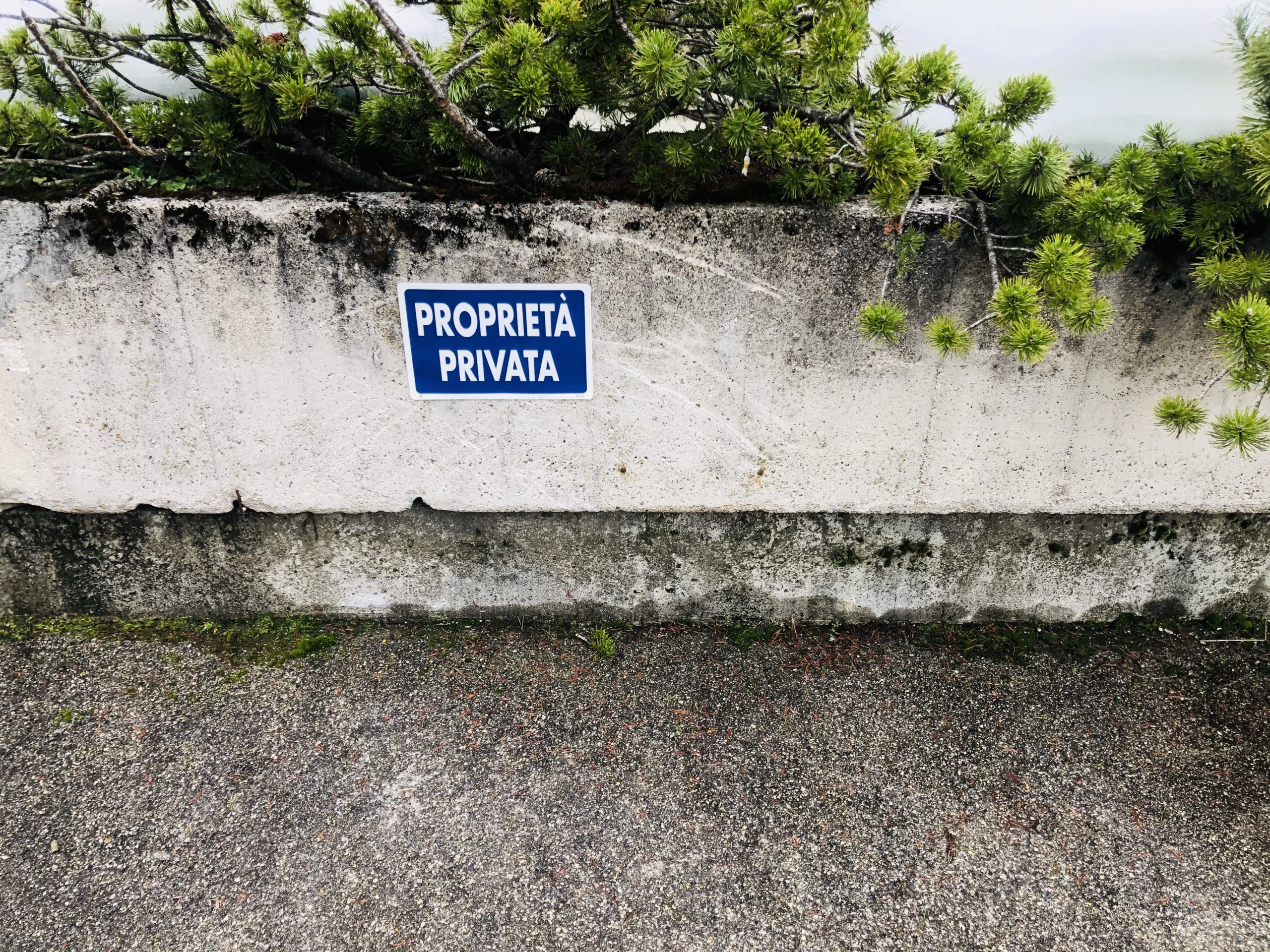 image for Cortina Privacy