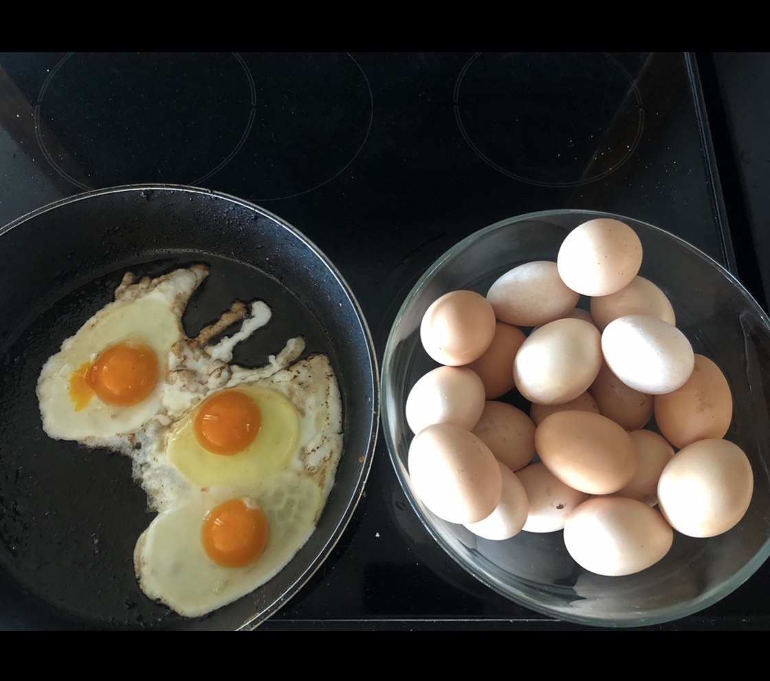 image for Back to basics