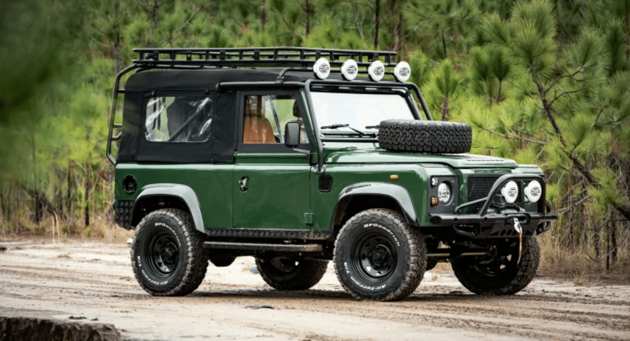 image for Safari Style