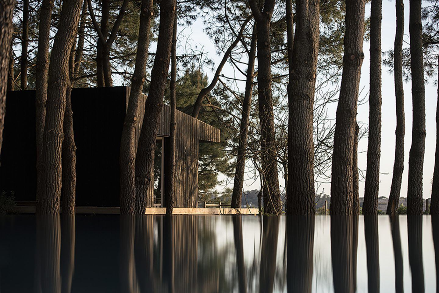 image for A minimal summer retreat