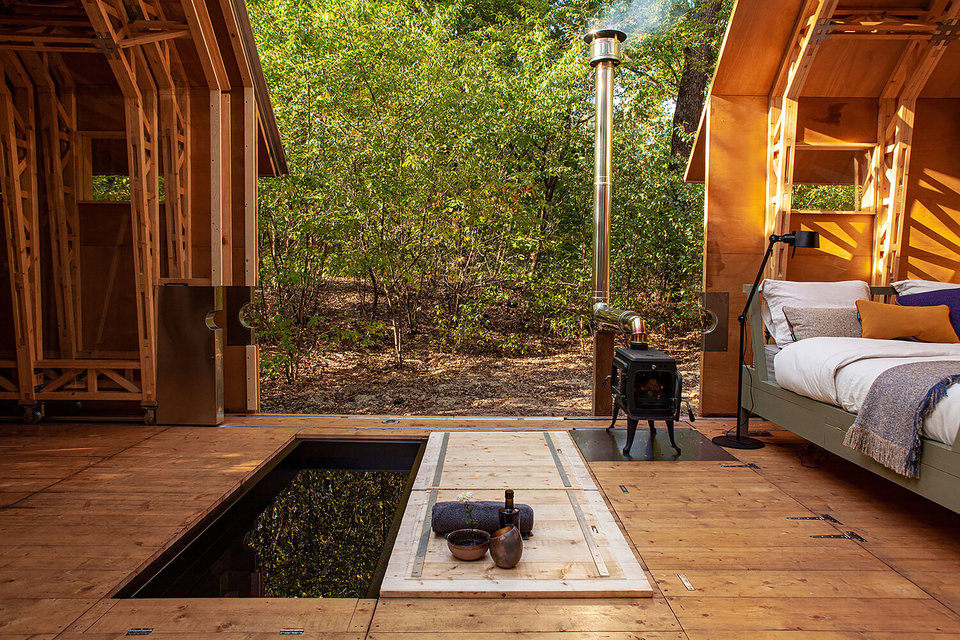 image for A dynamic wooden home
