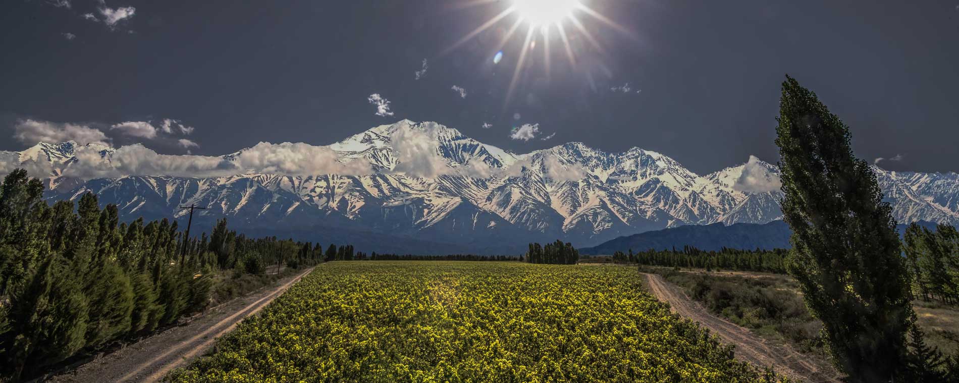 image for Argentinian delights
