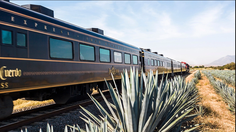image for A train journey dedicated to tequila lovers