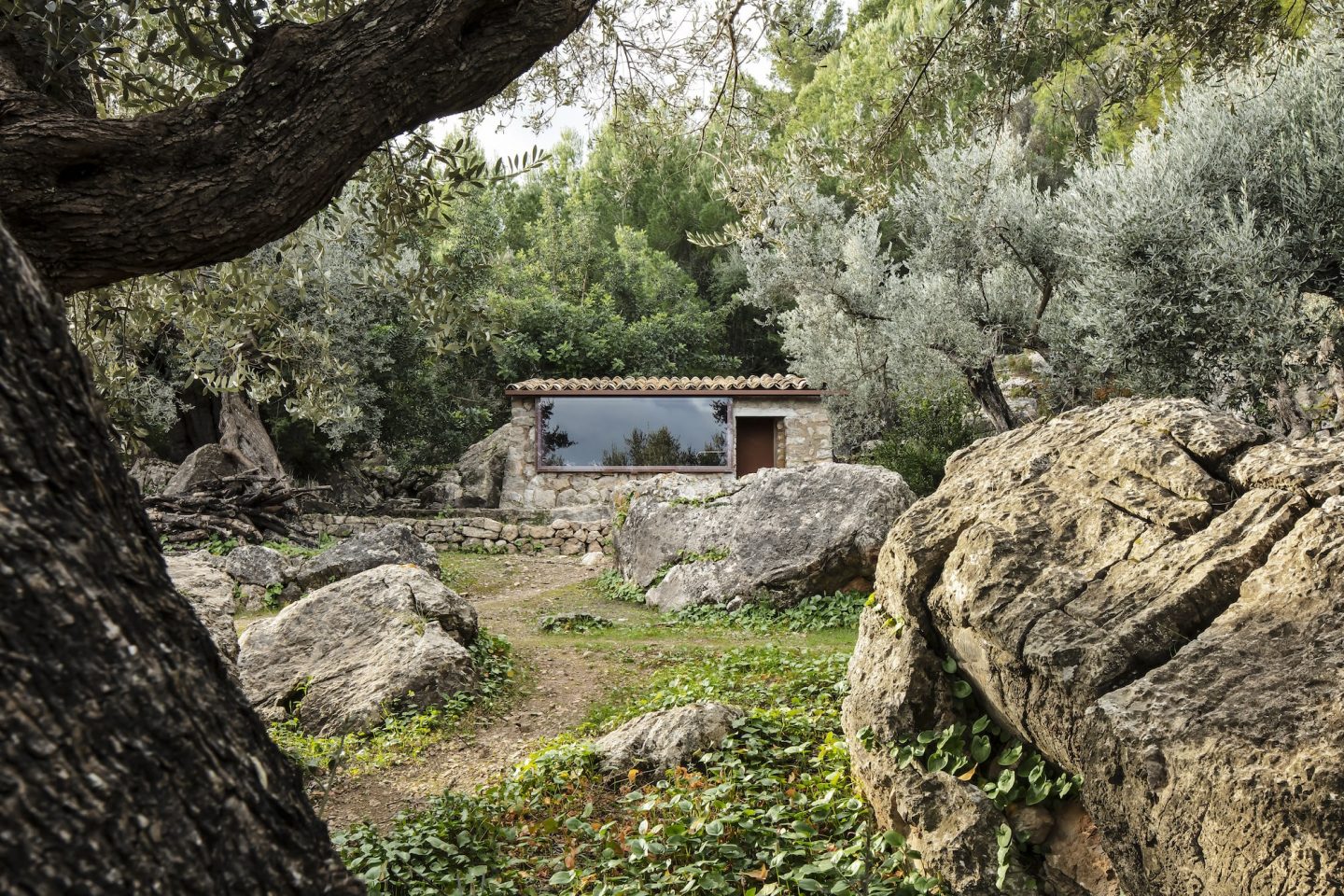 image for The Olive Houses