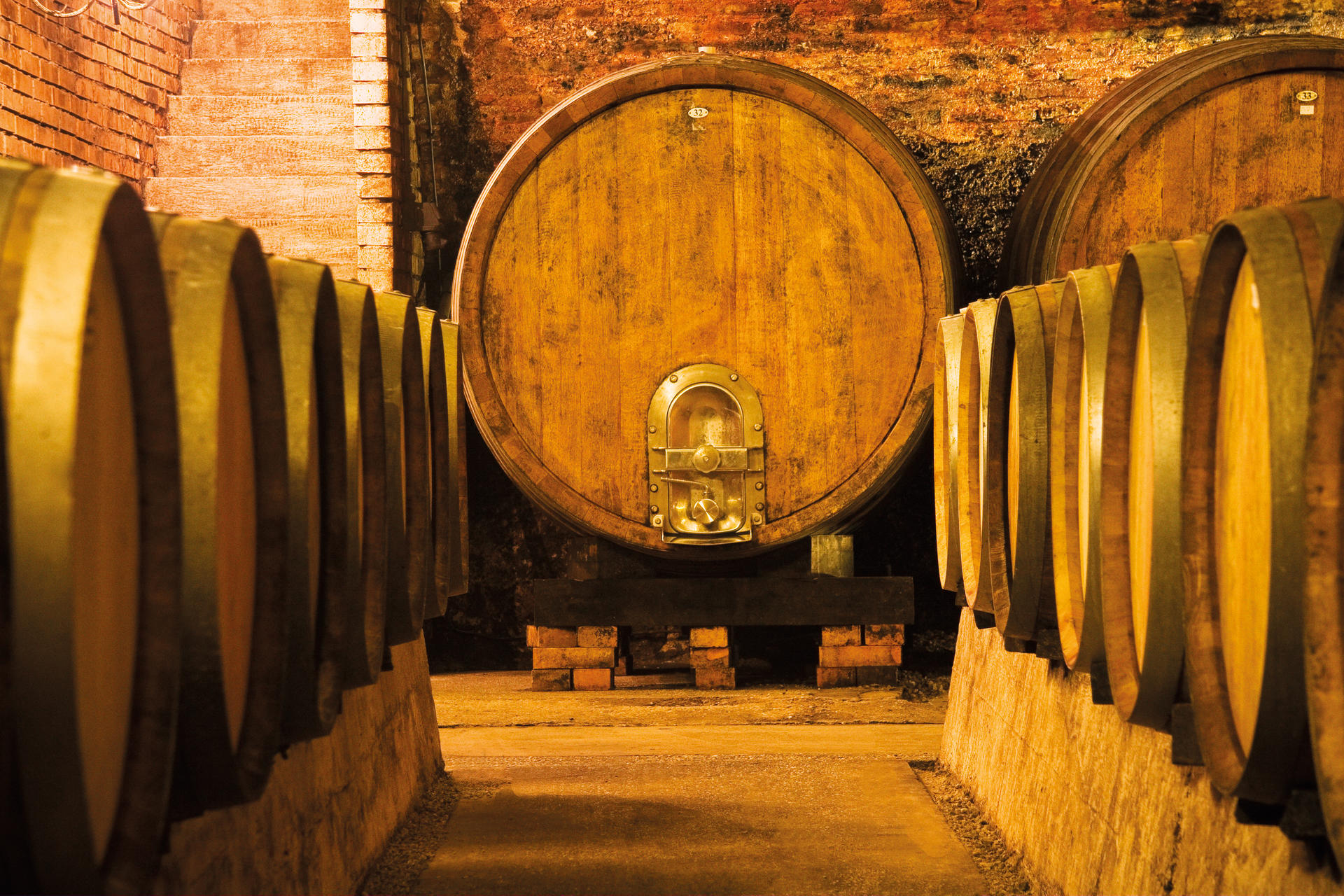 image for Code:Wine | Το οινοποιείο Bründlmayer παράγει μερικά από τα καλύτερα κρασιά του κόσμου