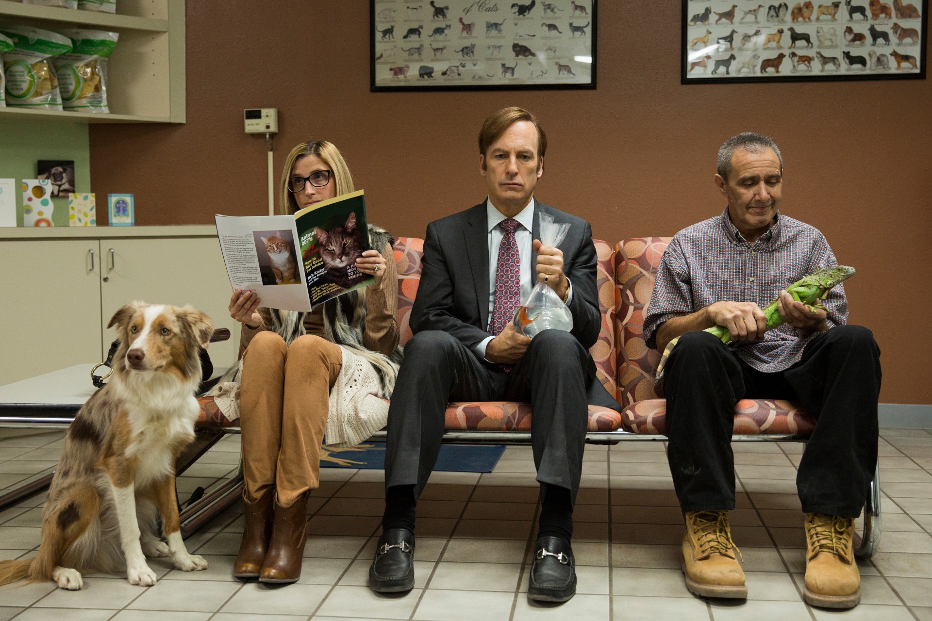 image for Live with style @Home | Better Call Saul