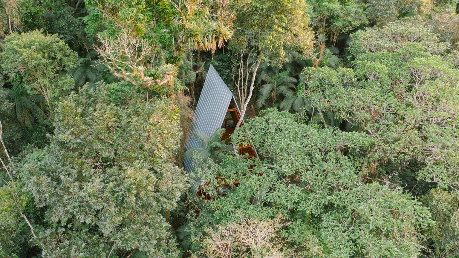 image for An isolated cabin in a Brazilian forest