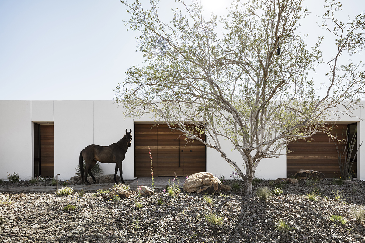 image for O-asis House: Majestic modern architecture