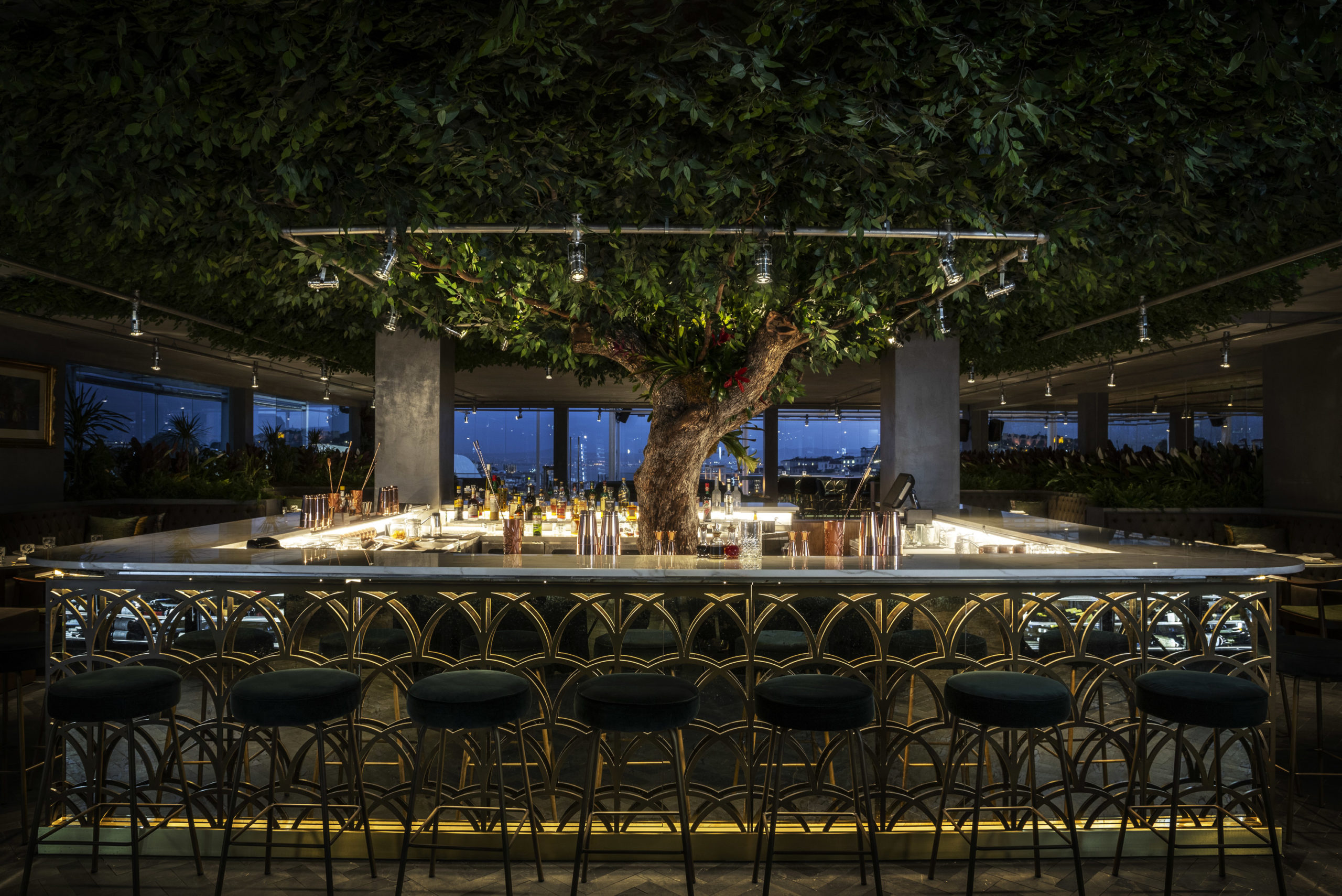 image for A breath of fresh air in Lisbon