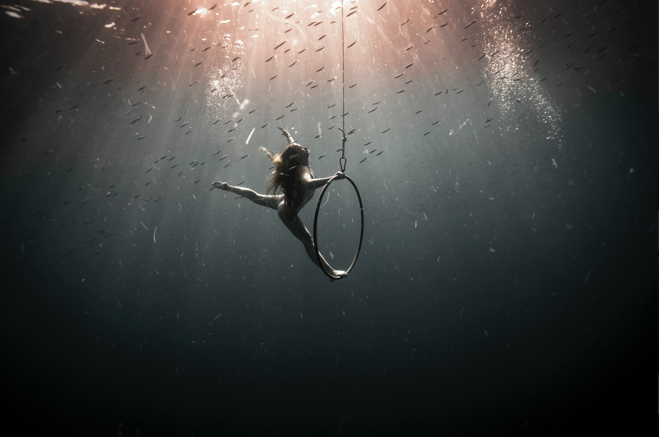 image for Underwater beauty
