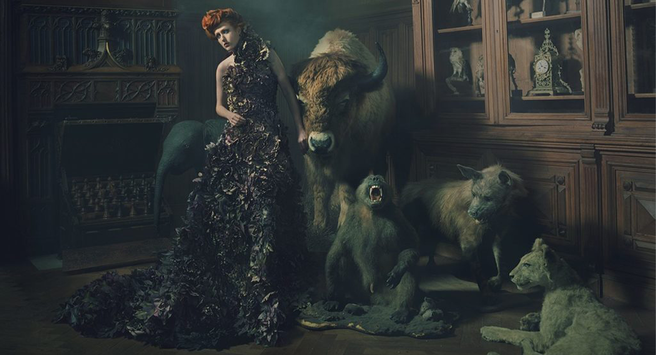 image for Surreal Fashion