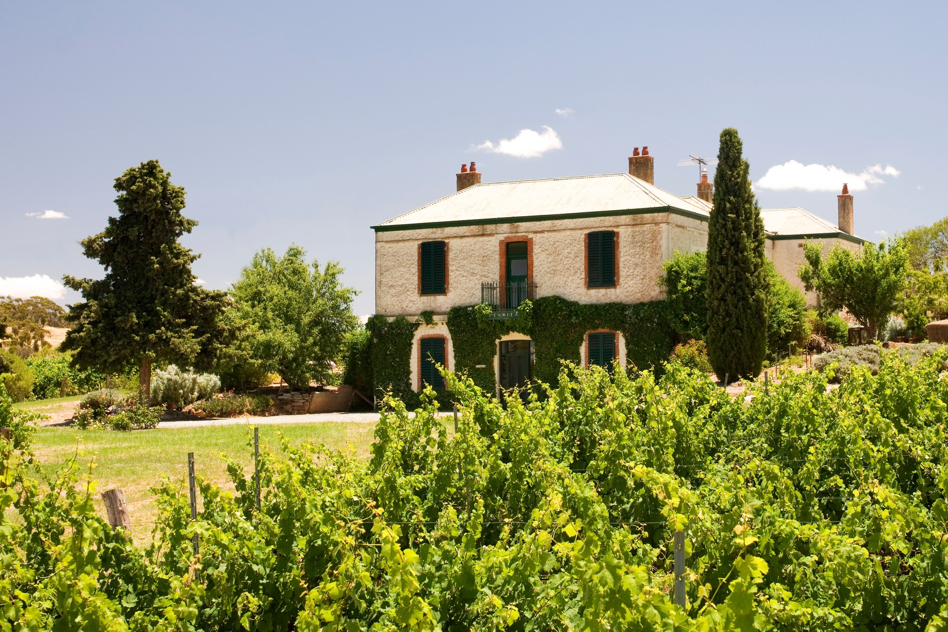 image for Code:Wine | The treasure of Clare Valley