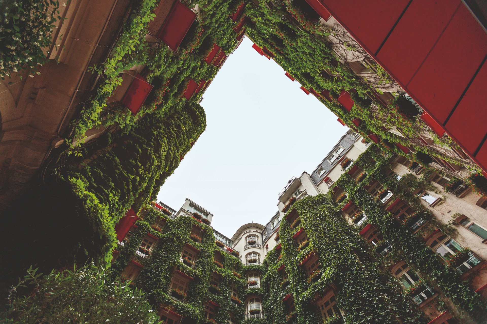 image for Hôtel Plaza Athénée