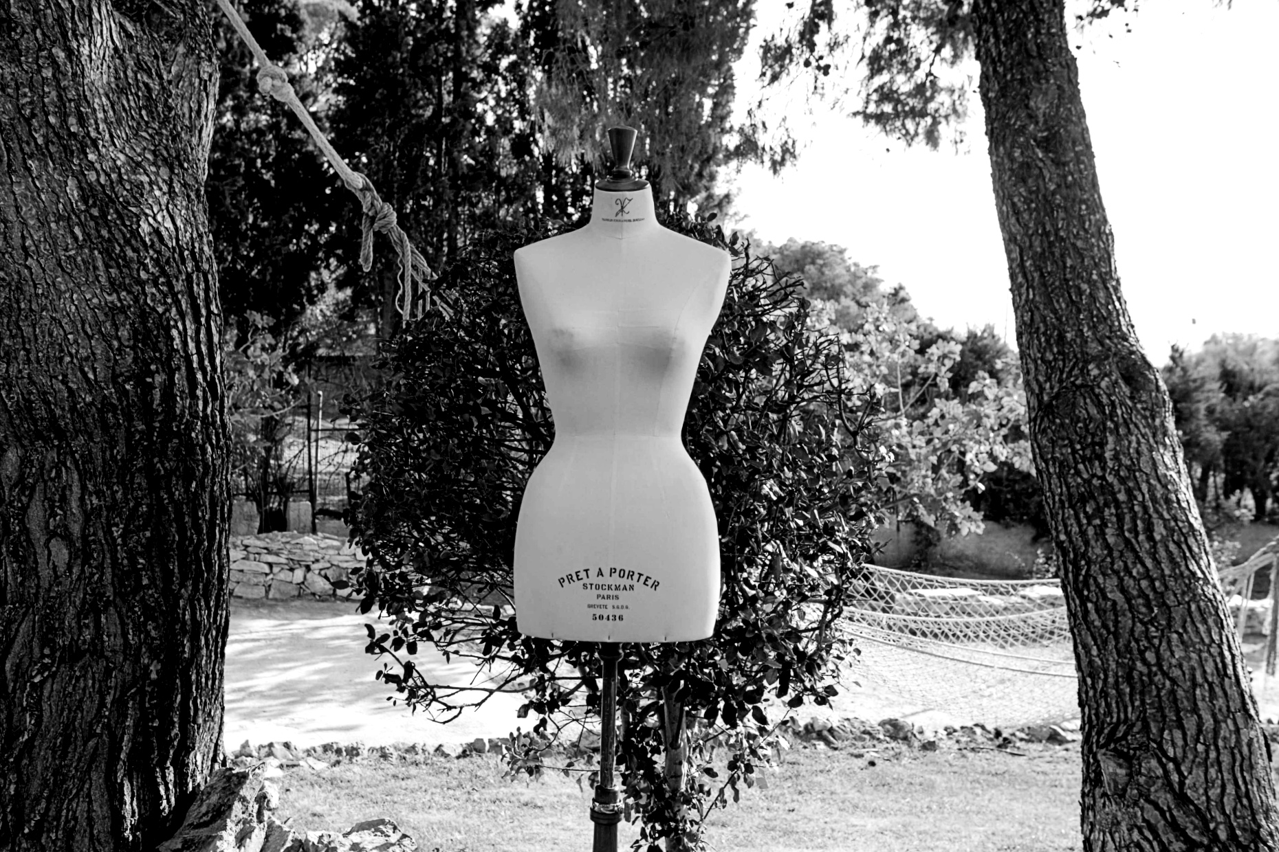 image for Vassilis Zoulias | The Valley of The Dolls