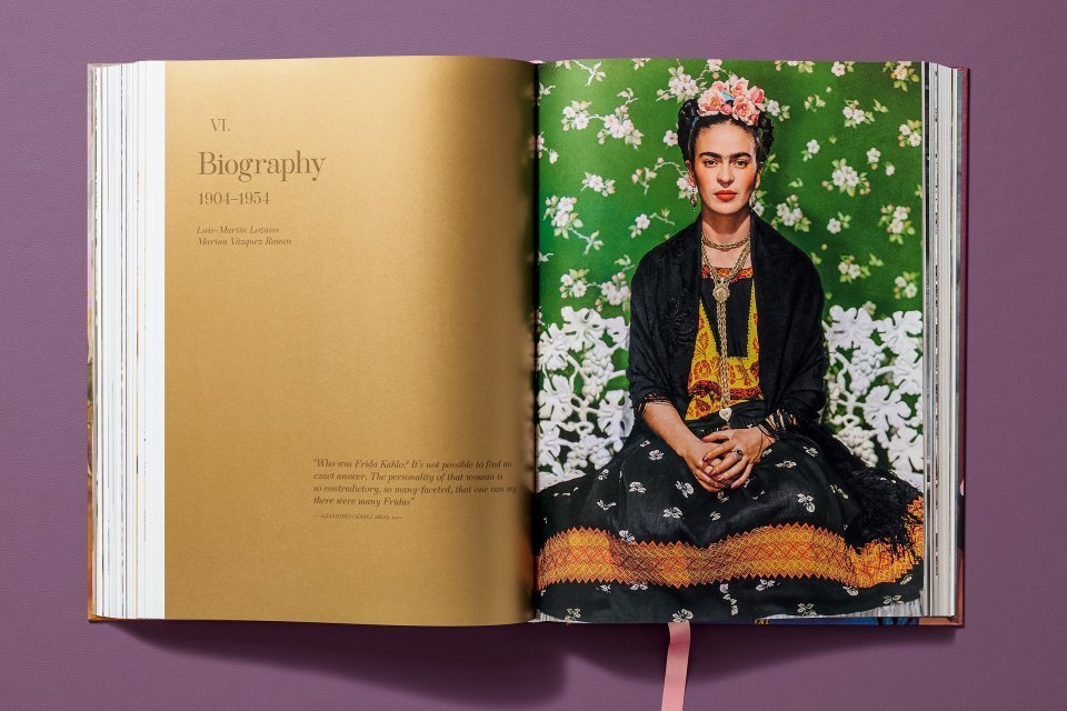 image for Frida Kahlo: Pain & passion