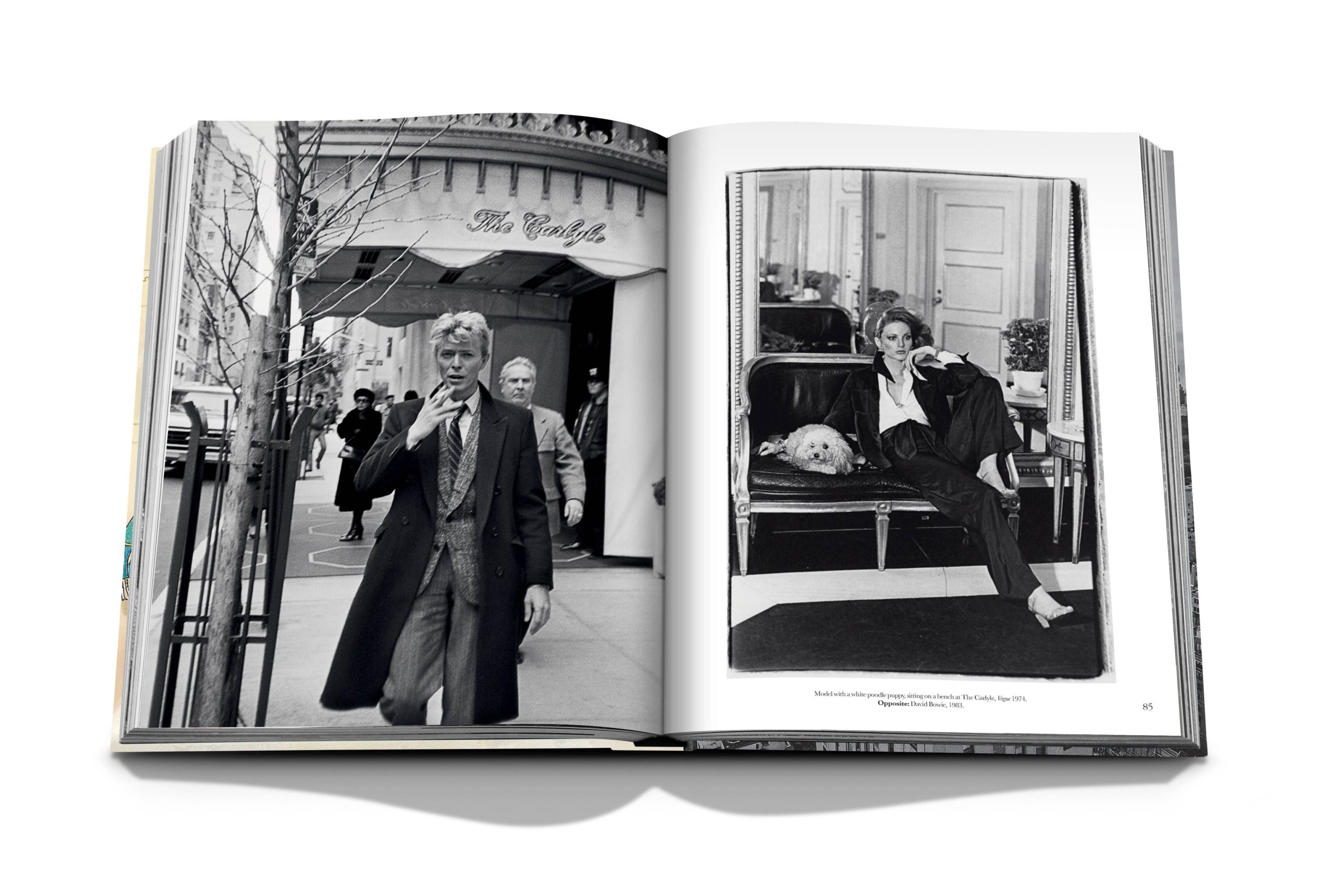 image for Sophisticated Luxury