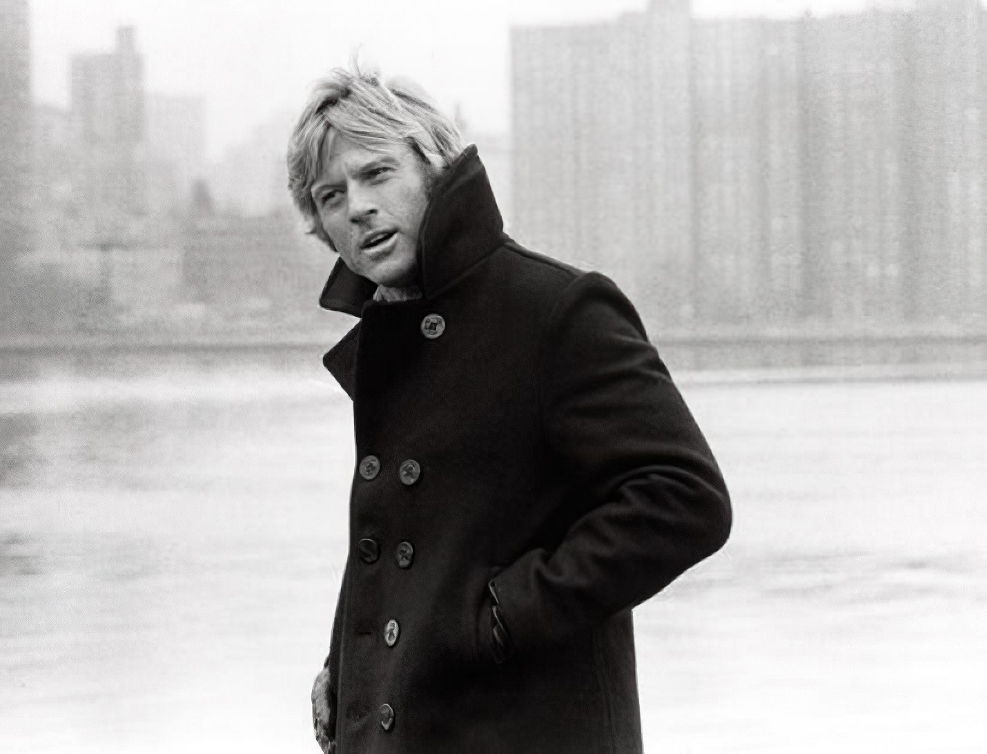 image for The History of the Navy Peacoat