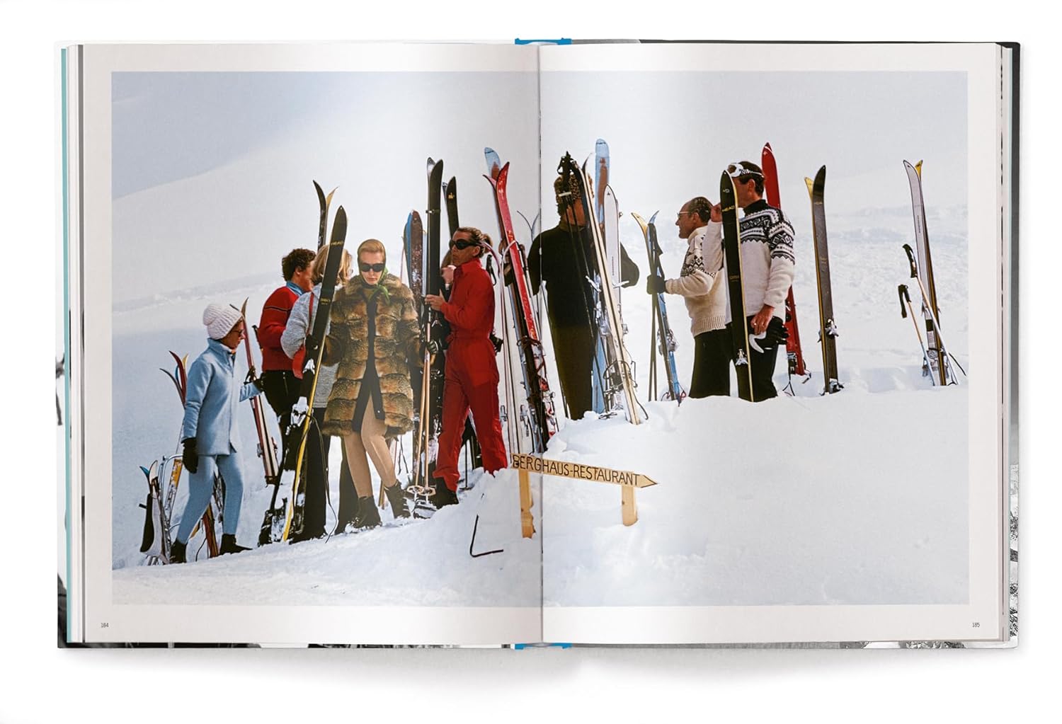 image for Skiing with style