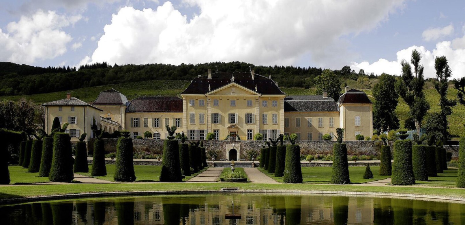 image for A 345-year-old winery with an eco-friendly touch