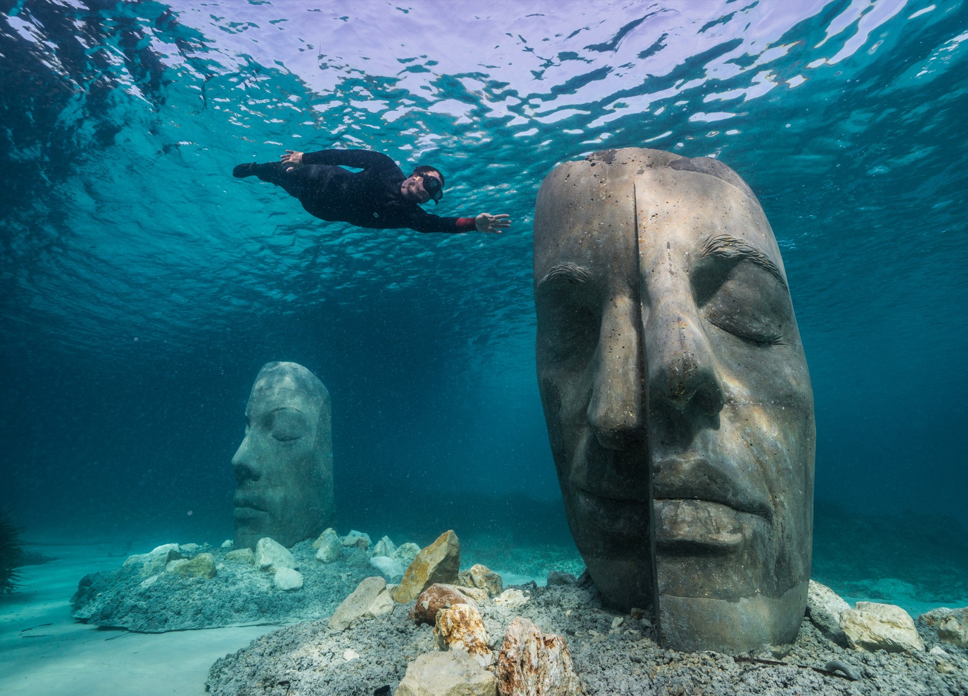 image for Art in the deep