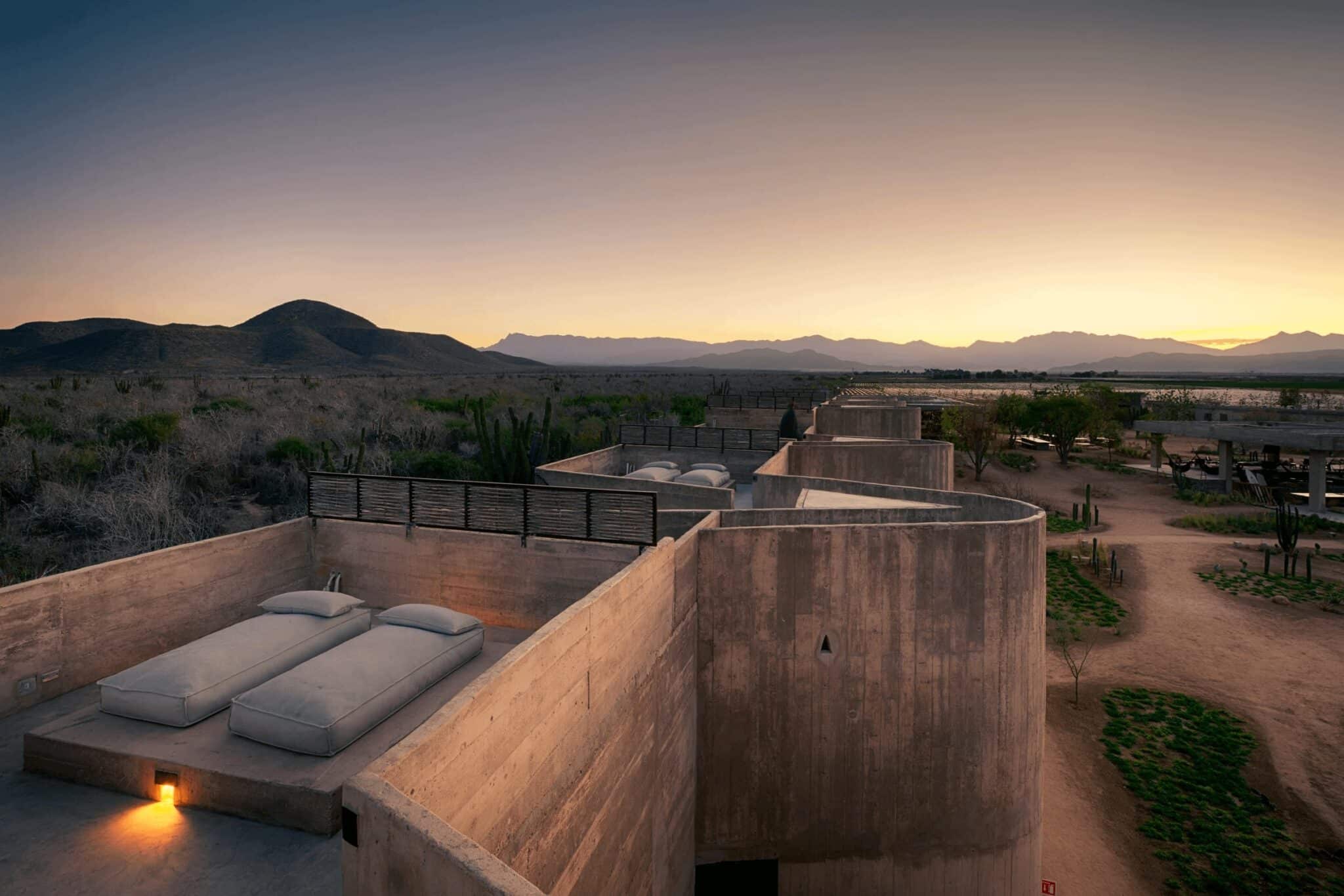 image for An oasis into the desert