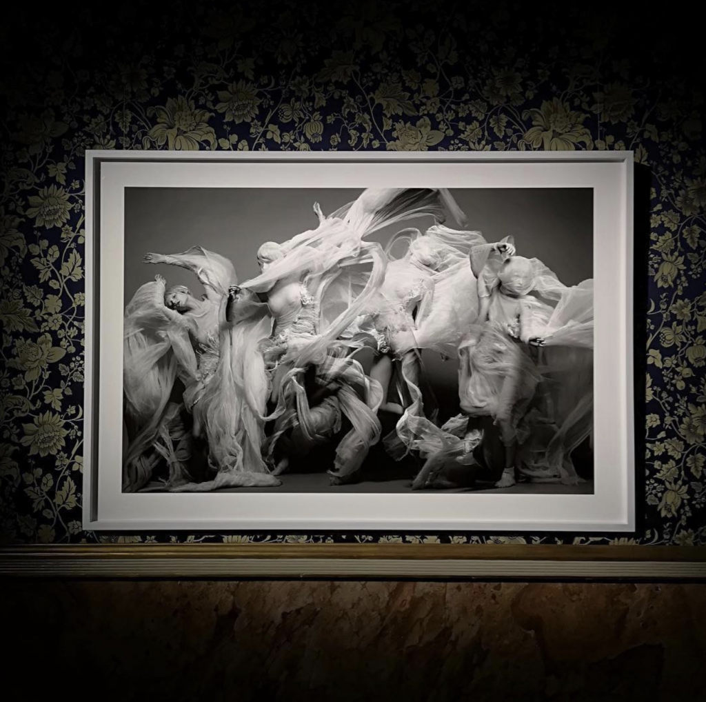 image for The technique of misdirection by Sølve Sundsbø