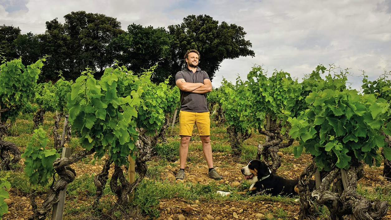 image for Le Vieux Donjon Châteauneuf-du-Pape 2020, Roussanne-Clairette, Rhône, Γαλλία