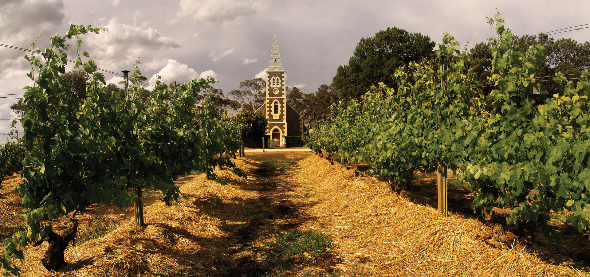 image for Julius Riesling 2021, Henschke Winery, Barossa, Αυστραλία