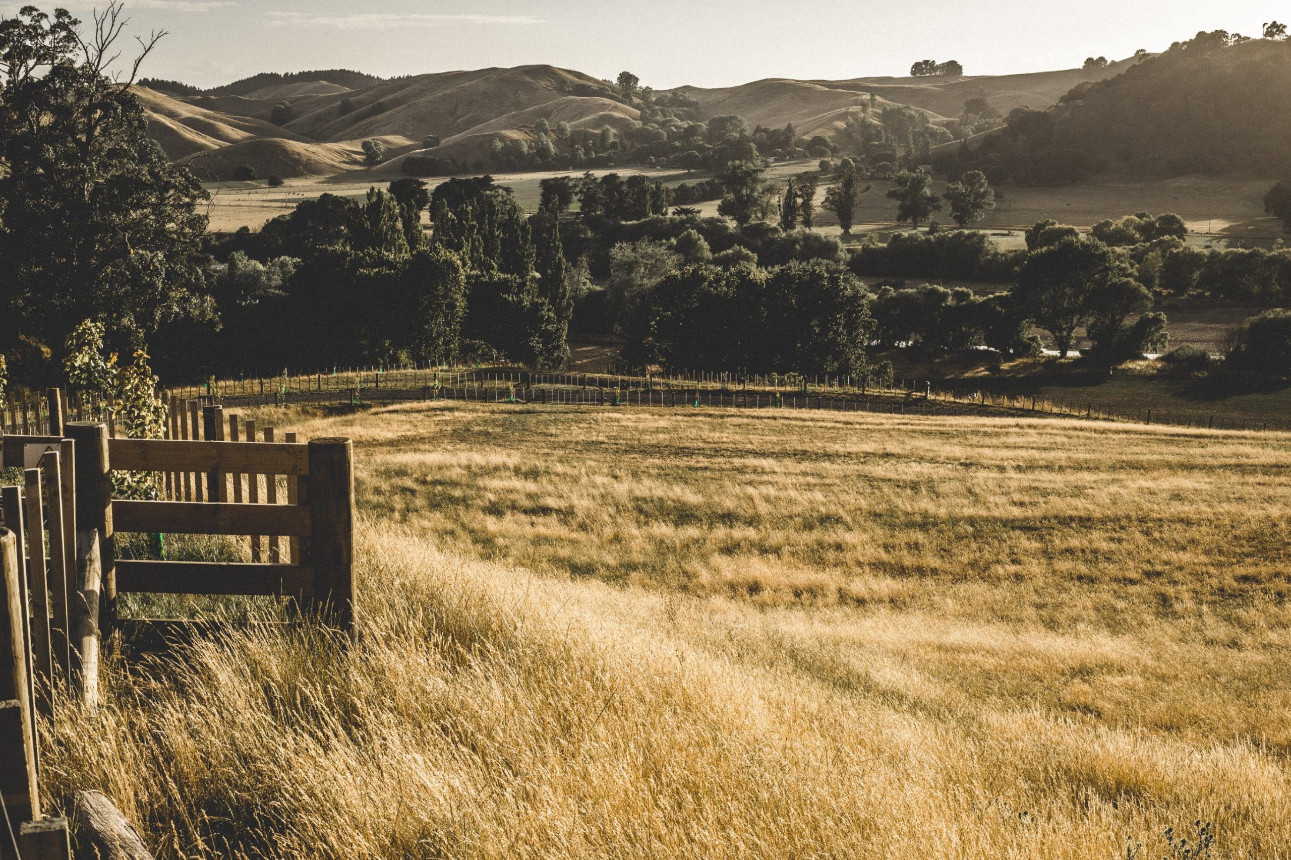 image for Craggy Range Marlborough Sauvignon Blanc 2021