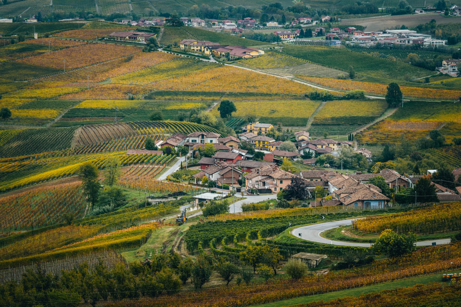 image for Barolo Cannubi 2015, Elio Altare, Piemonte, Ιταλία