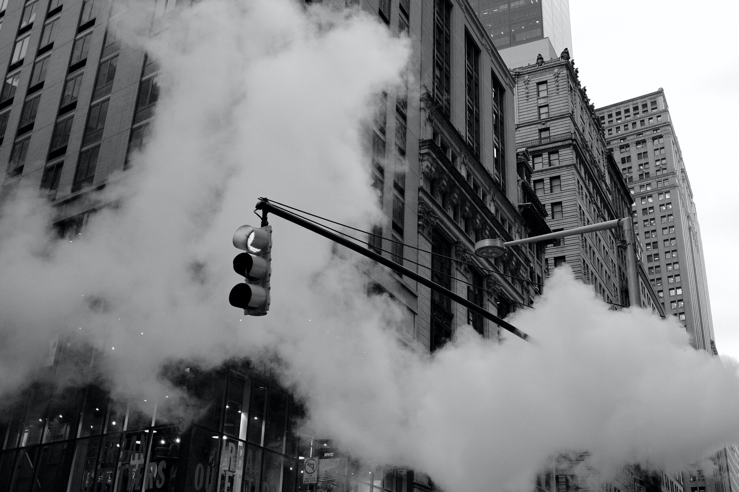 image for Bye-Bye, New York