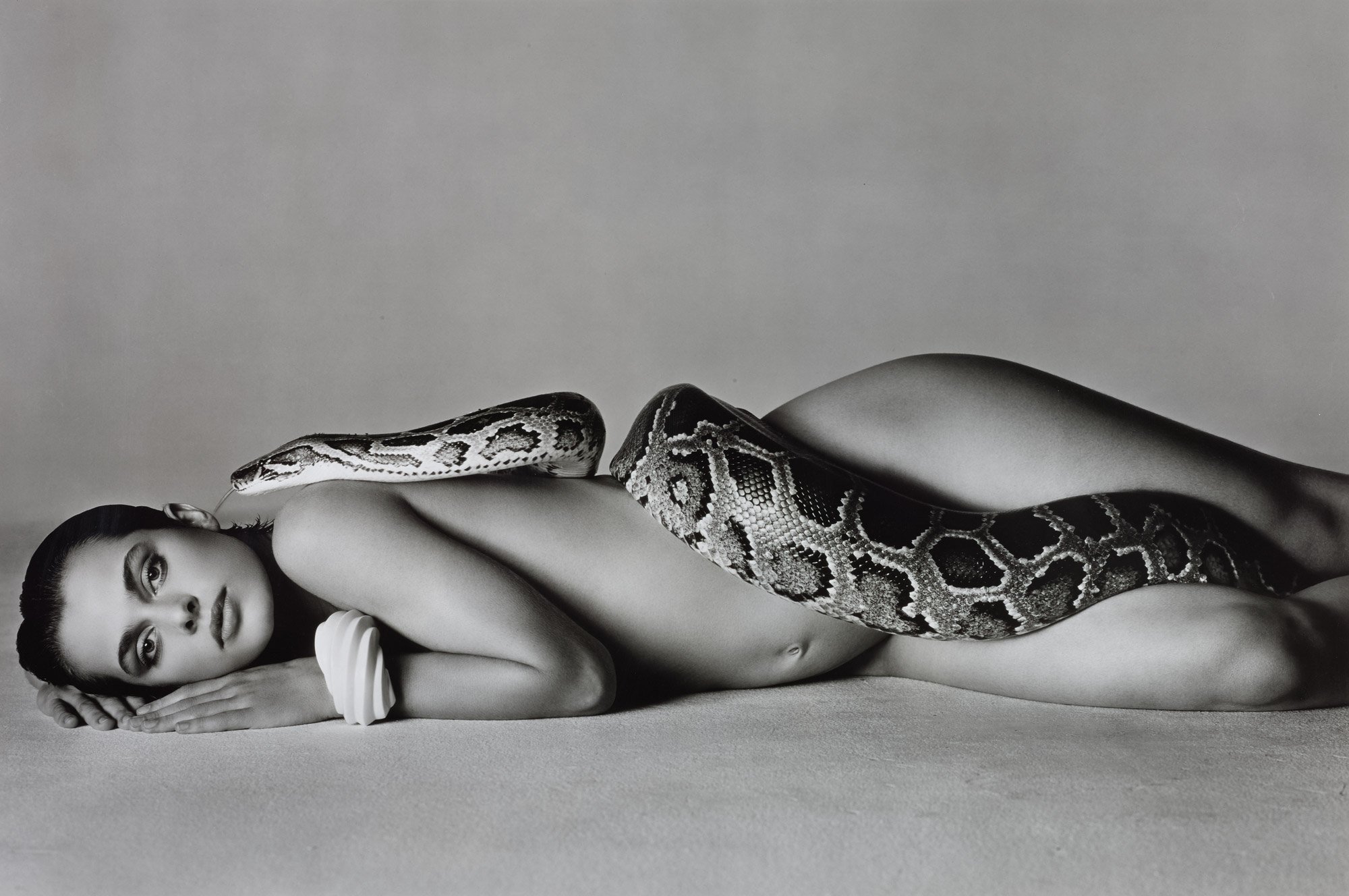 image for Avedon: The photographer of human soul