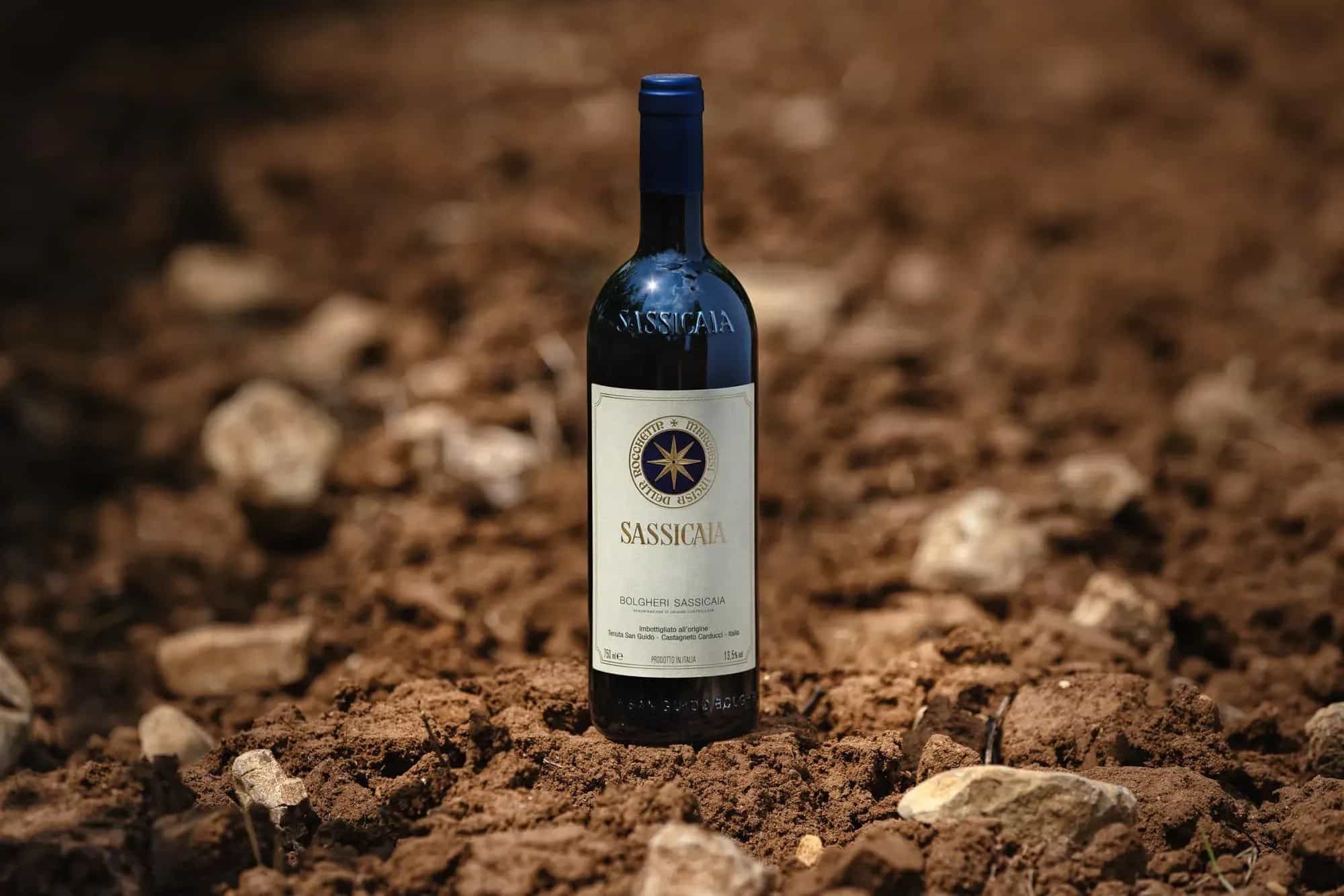 image for Bolgheri Sassicaia