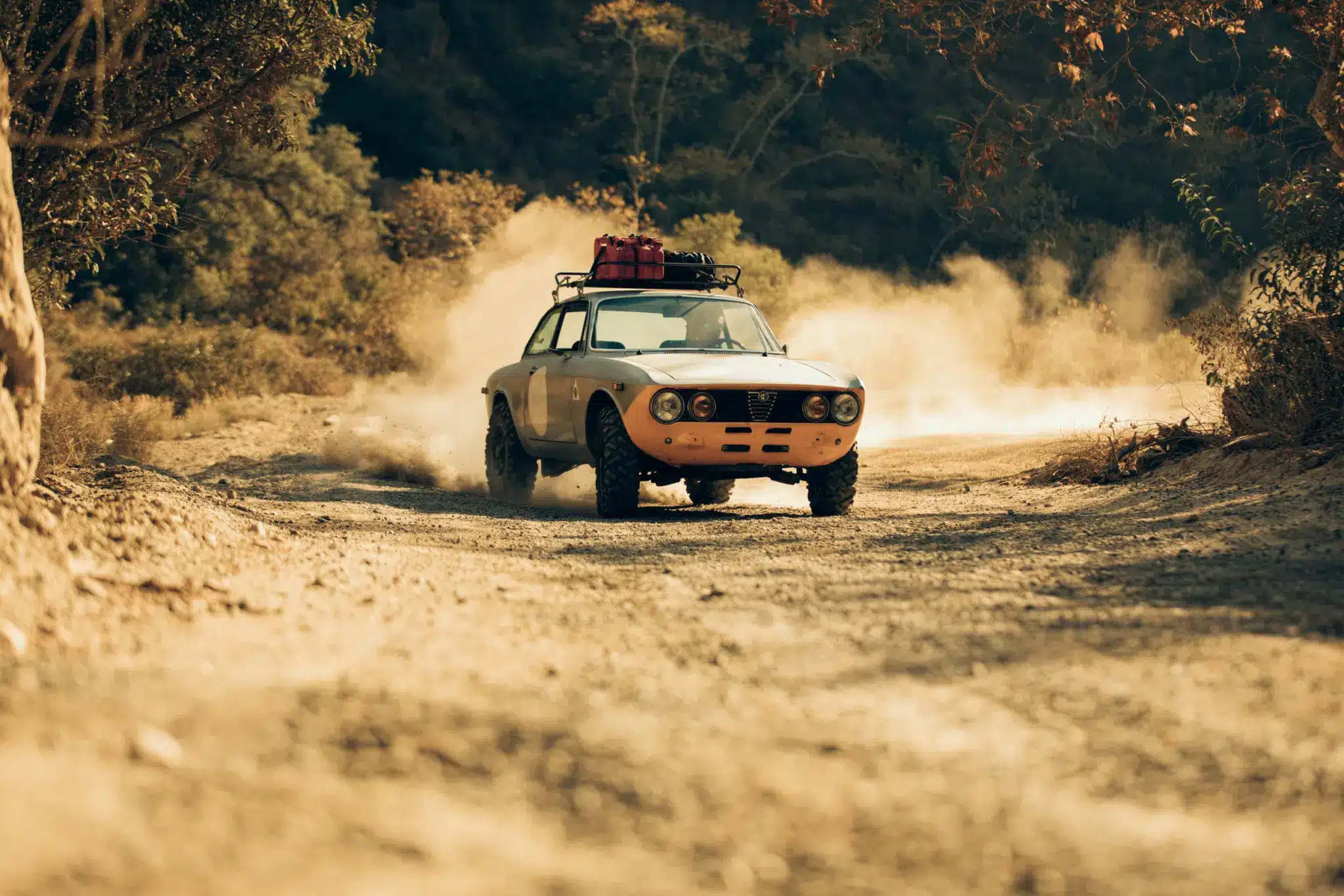 image for Unstoppable Alfa