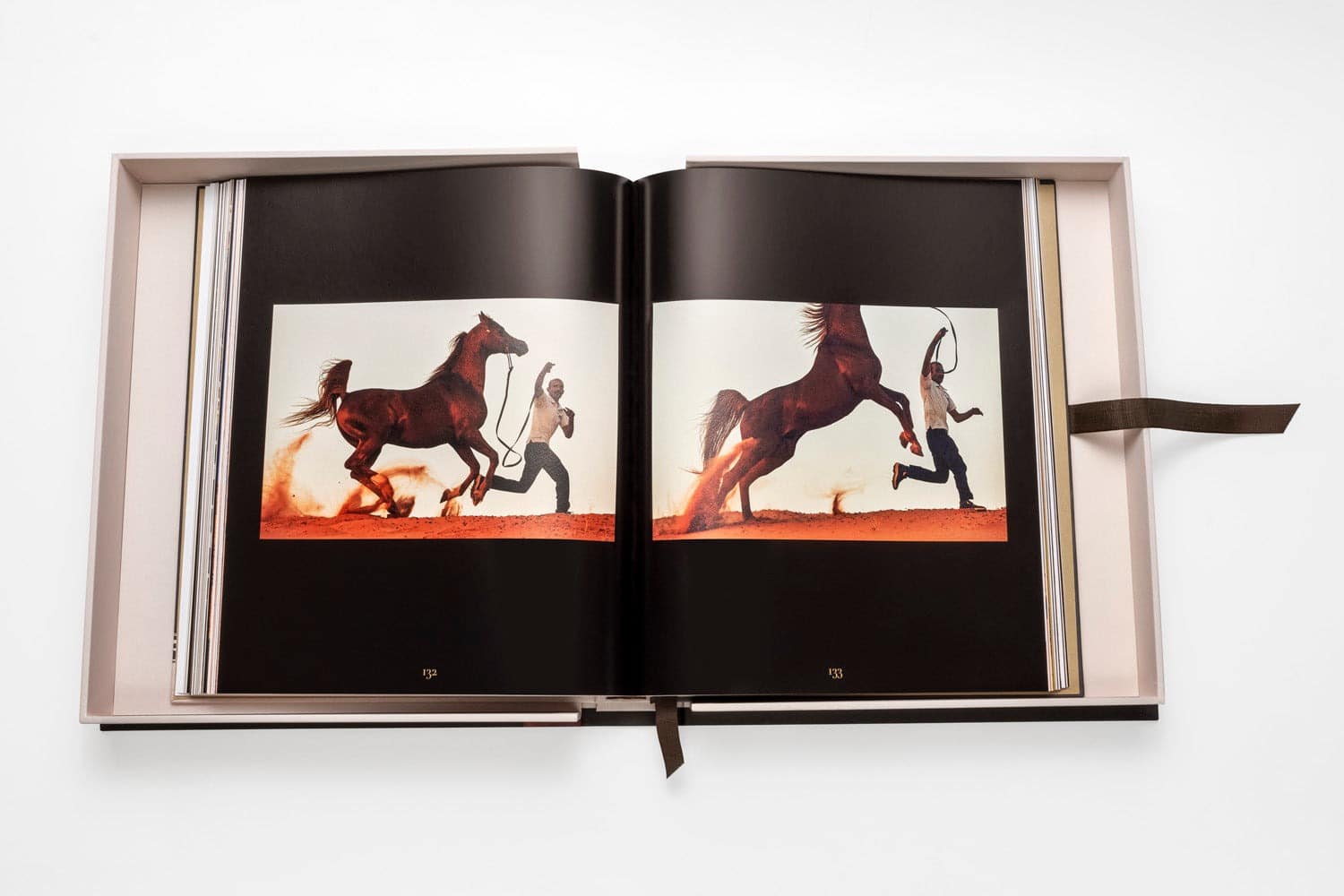 image for The Arabian horse