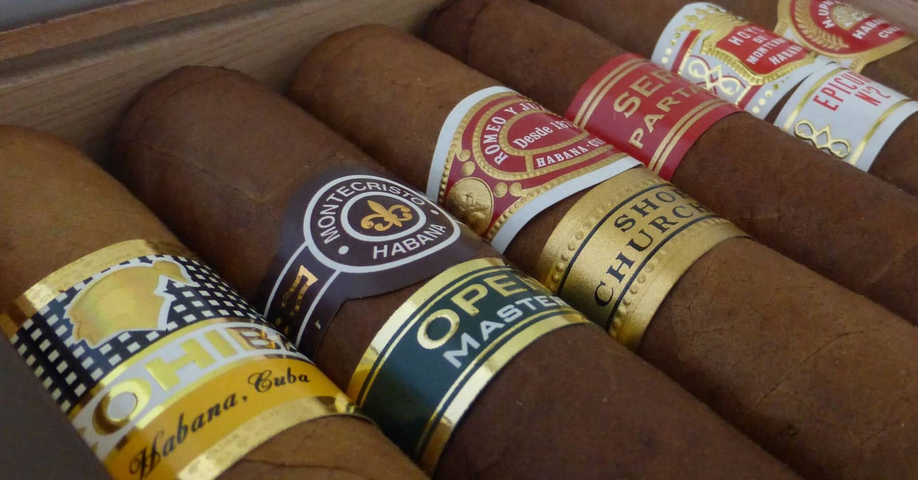 image for The Selecction Robusto