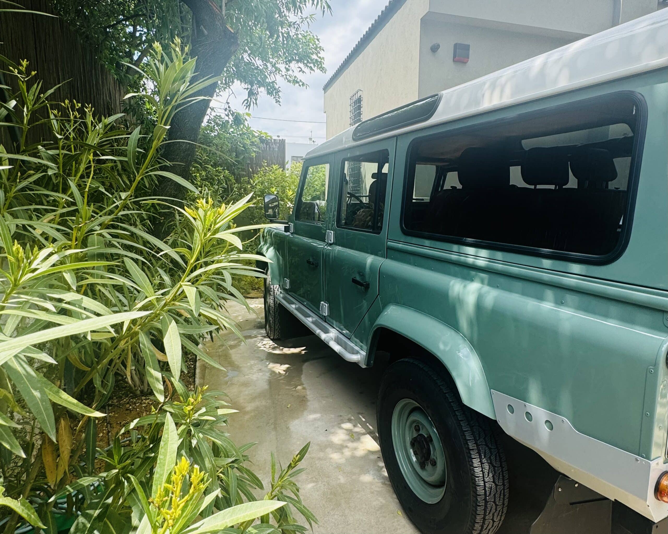 image for Living in the jungle